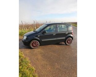 Fiat Panda Gebrauchtwagen