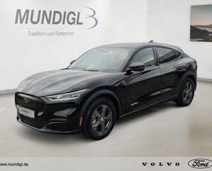 Ford Mustang Mach-E Gebrauchtwagen