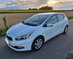Kia ceed / Ceed Gebrauchtwagen