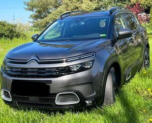 Citroen C5 Aircross Gebrauchtwagen