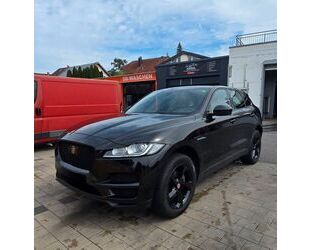 Jaguar F-Pace Gebrauchtwagen