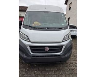 Fiat Ducato Gebrauchtwagen