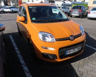 Fiat Panda Gebrauchtwagen