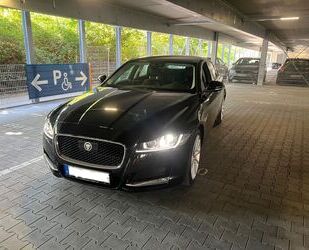 Jaguar XF Gebrauchtwagen