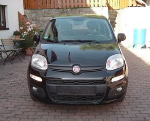 Fiat Panda Gebrauchtwagen