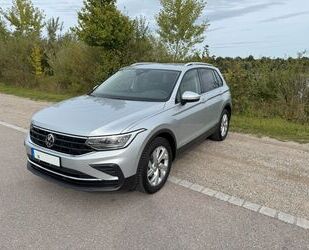 VW Tiguan Gebrauchtwagen