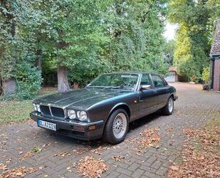 Jaguar XJ40 Gebrauchtwagen