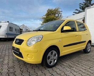 Kia Picanto Gebrauchtwagen