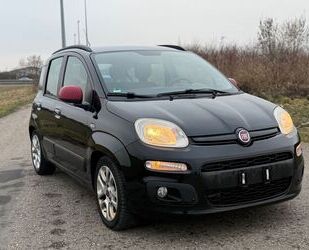 Fiat Panda Gebrauchtwagen