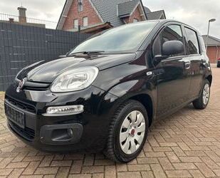 Fiat Panda Gebrauchtwagen