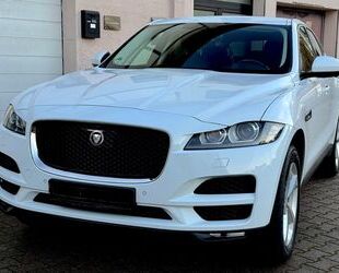 Jaguar F-Pace Gebrauchtwagen