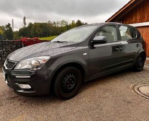 Kia ceed / Ceed Gebrauchtwagen