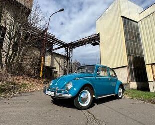VW Käfer Gebrauchtwagen