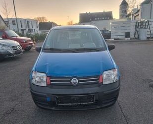 Fiat New Panda Gebrauchtwagen