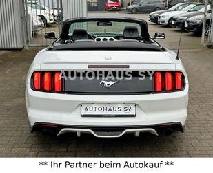 Ford Mustang Gebrauchtwagen