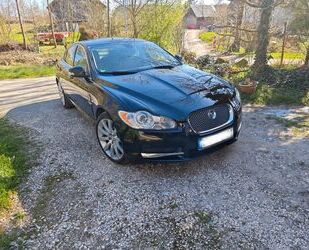 Jaguar XF Gebrauchtwagen