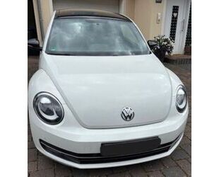 VW Beetle Gebrauchtwagen