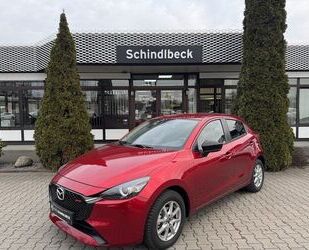 Mazda 2 Gebrauchtwagen