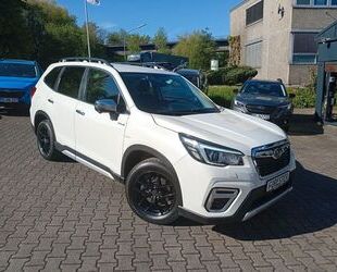 Subaru Forester Gebrauchtwagen