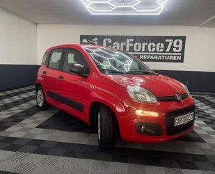 Fiat Panda Gebrauchtwagen