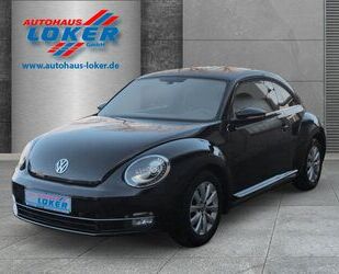 VW Beetle Gebrauchtwagen