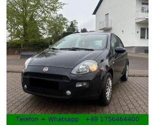 Fiat Punto Gebrauchtwagen