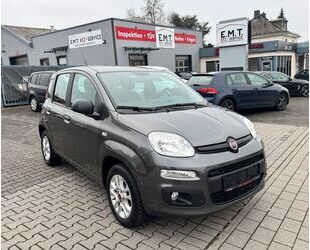 Fiat Panda Gebrauchtwagen