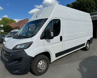 Fiat Ducato Gebrauchtwagen
