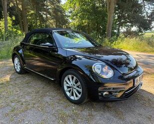 VW Beetle Gebrauchtwagen