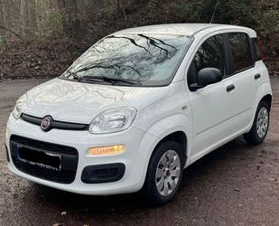 Fiat Panda Gebrauchtwagen