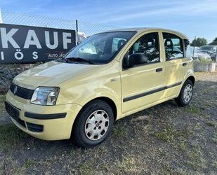Fiat Panda Gebrauchtwagen