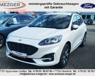 Ford Kuga Gebrauchtwagen
