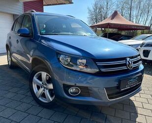 VW Tiguan Gebrauchtwagen