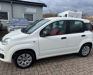 Fiat Panda Gebrauchtwagen