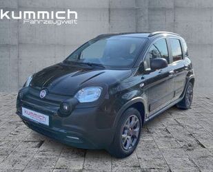 Fiat Panda Gebrauchtwagen