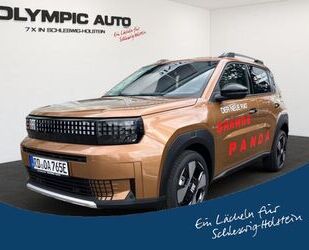 Fiat Grande Panda Gebrauchtwagen