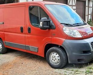 Fiat Ducato Gebrauchtwagen
