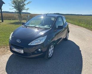 Ford Ka/Ka+ Gebrauchtwagen