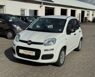 Fiat Panda Gebrauchtwagen