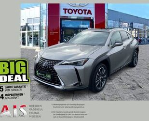 Lexus UX Gebrauchtwagen