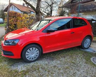 VW Polo Gebrauchtwagen