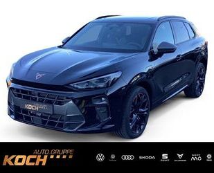 Cupra Terramar Gebrauchtwagen