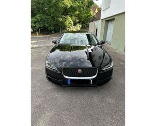 Jaguar XE Gebrauchtwagen