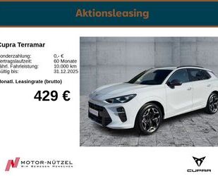 Cupra Terramar Gebrauchtwagen