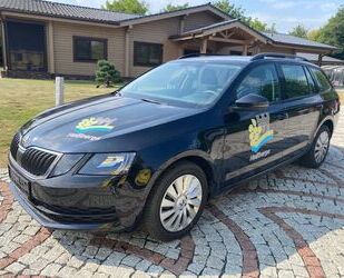 Skoda Octavia Gebrauchtwagen