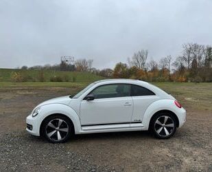 VW Beetle Gebrauchtwagen
