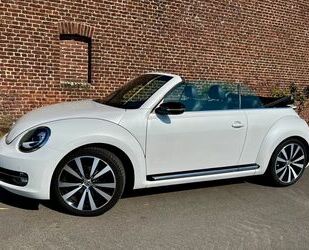 VW Beetle Gebrauchtwagen