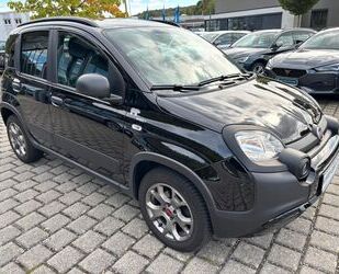 Fiat Panda Gebrauchtwagen