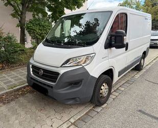 Fiat Ducato Gebrauchtwagen