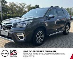 Subaru Forester Gebrauchtwagen